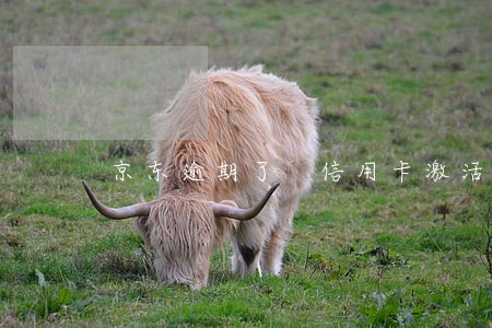 京东逾期了 信用卡激活 京东逾期了 信用卡激活